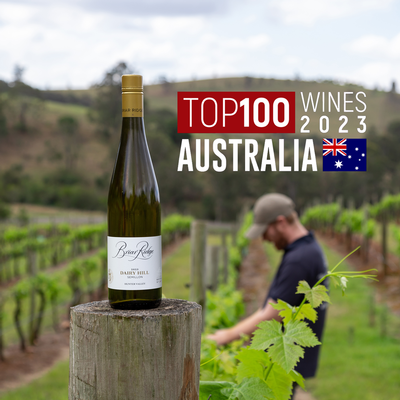 Briar Ridge Vineyard Single Vineyard Dairy Hill Hunter Valley Semillon a 2023 Top 100 Wine in Australia