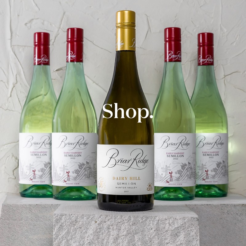 Shop Briar Ridge wines on our online wine store including some of the best semillon in Australia.