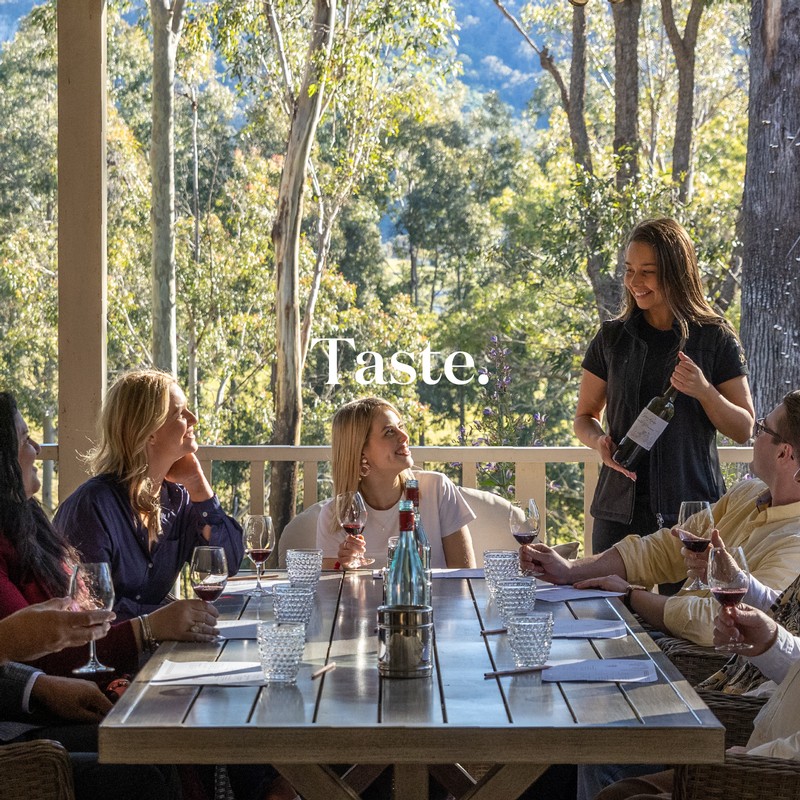 Taste our award-winning wines in the Briar Ridge Cellar Door in Hunter Valley.