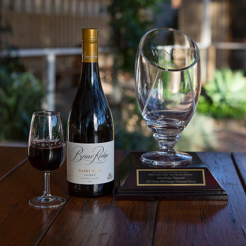 2013 Dairy Hill Shiraz Trophy