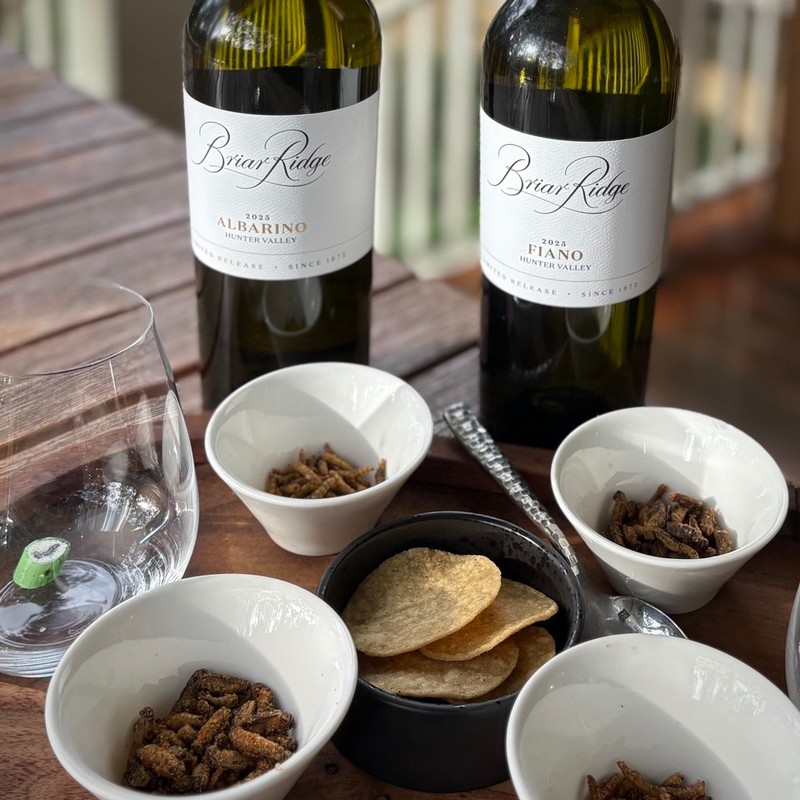 two bottles of wine with samples of edible bugs