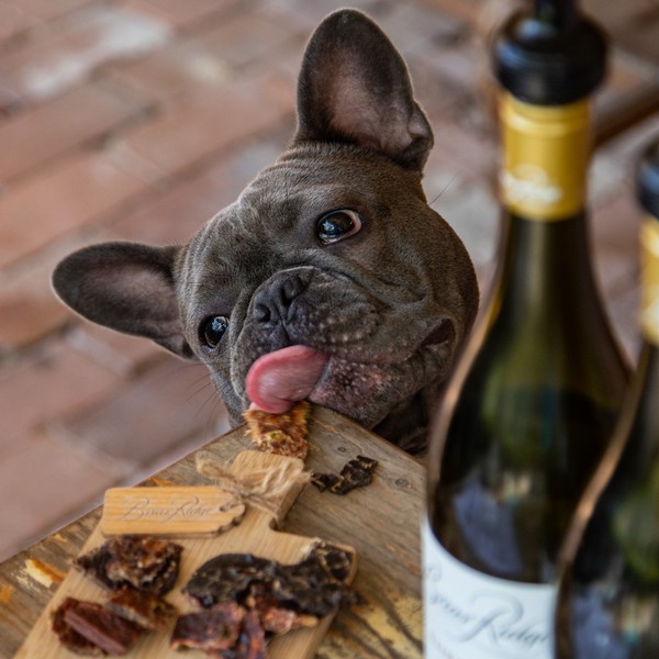 Dog Visiting Briar Ridge Cellar Door