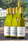 2025 'Which Way' Pinot Gris 6-Pack - View 1