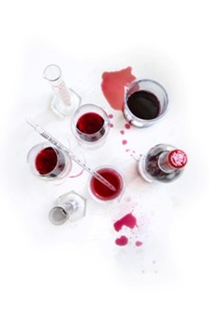 Members Blending Session & Winter Feast Lunch