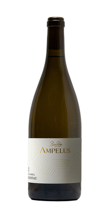 2022 Ampelus Single Barrel Chardonnay