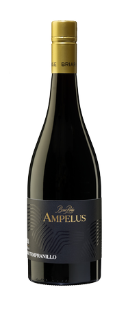 2024 Ampelus Argilla Syrah Tempranillo