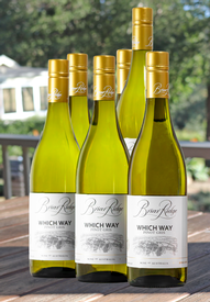 2025 'Which Way' Pinot Gris 6-Pack