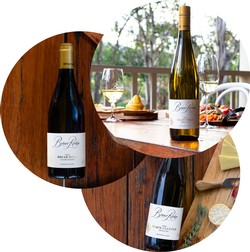 2023 White Release Tasting Pack