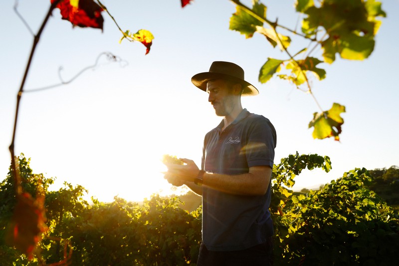 Back to the future with Briar Ridge winemaker Alex Beckett