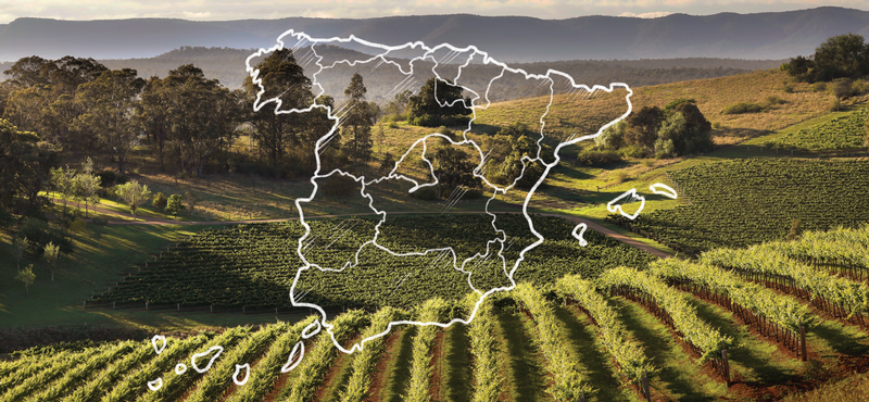 Celebrating Spain Day with an exploration of our spanish varietals