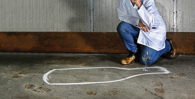 We need your help to solve the case.