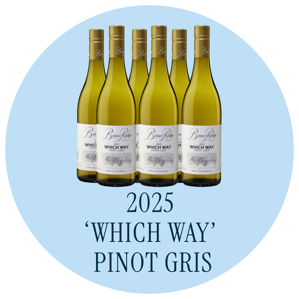 2025 'Which Way' Pinot Gris Festive 6-Pack